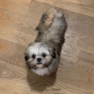 Meet your Posher, Lena